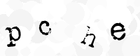 Gentilmente scrivi le lettere di questa immagine captcha nella casella di input