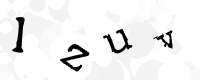 Gentilmente scrivi le lettere di questa immagine captcha nella casella di input